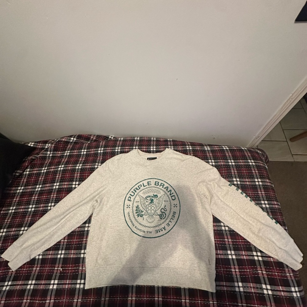 Purrple Brand Light Gray Crewneck Sweater for Men